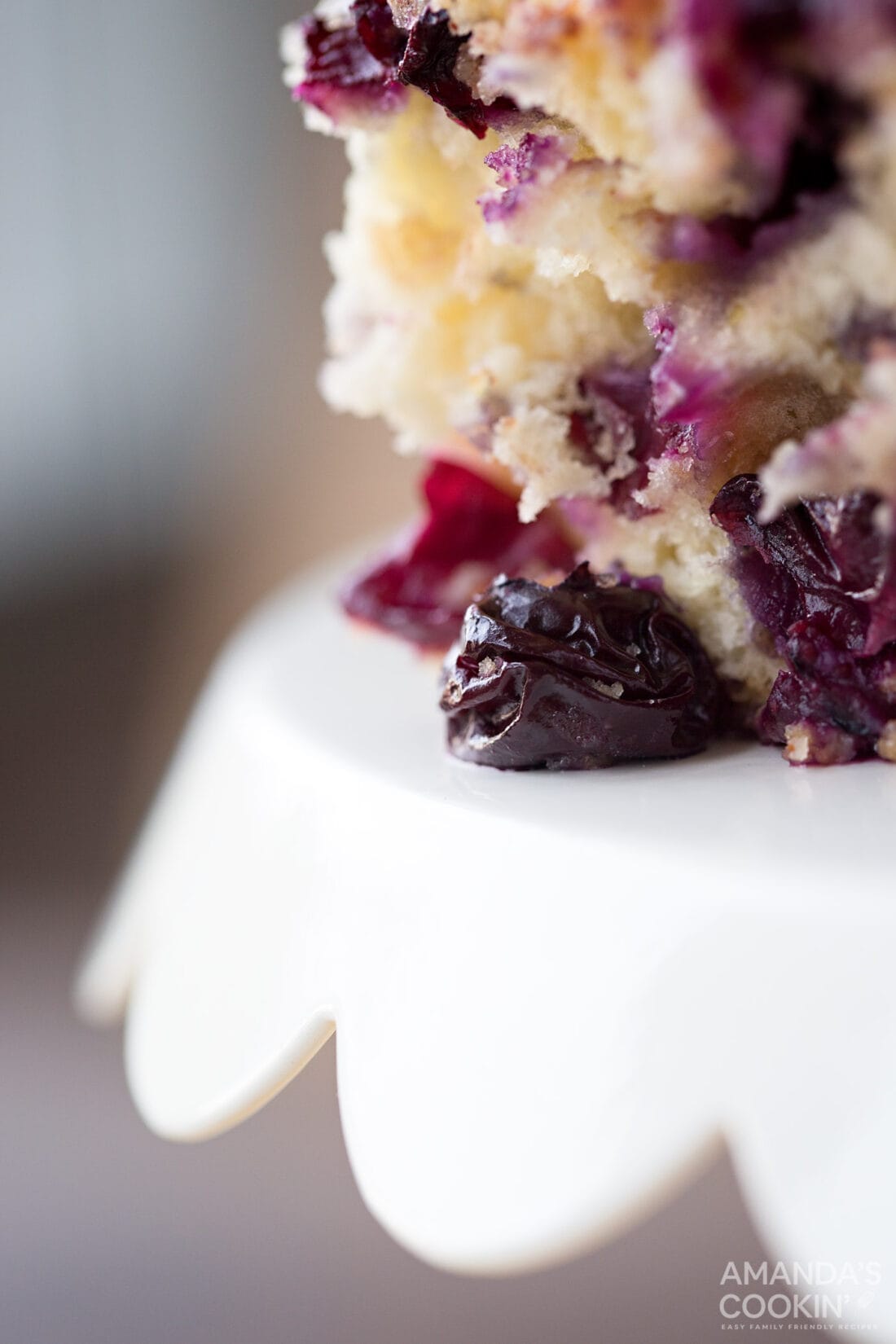 extreme closeup of blueberry cake