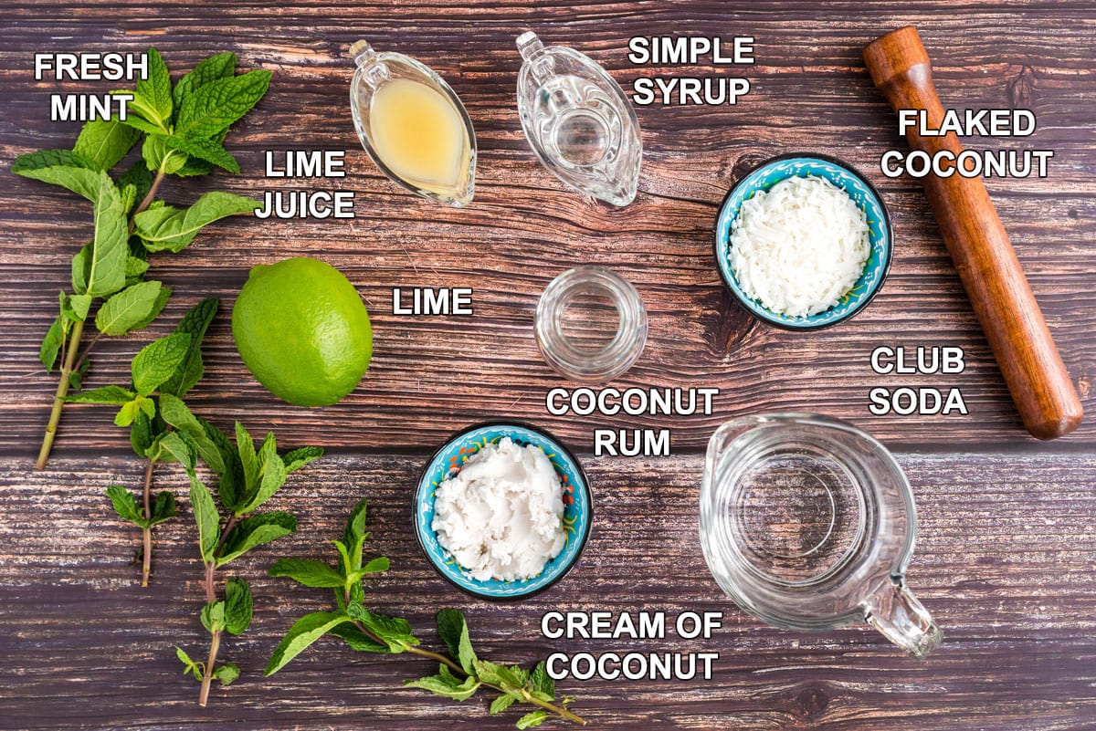 labeled ingredients for coconut mojito
