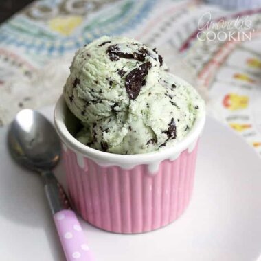 bowl of mint chocolate chip ice cream