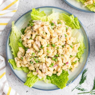 tuna pasta salad on a bed of lettuce