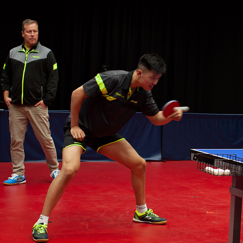 waldner-fangbo-training-800px